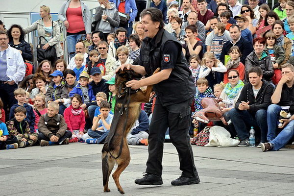 Polizeishow   025.jpg